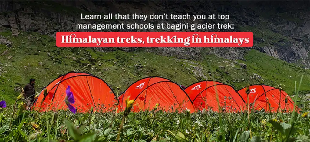 Learn all that they don’t teach you at top management schools at bagini glacier trek: Himalayan treks, trekking in himalays
